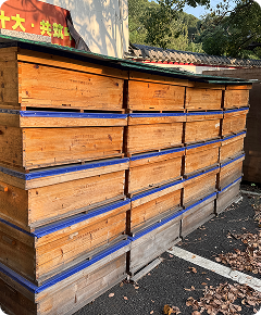 Rows of beehive boxes in the field